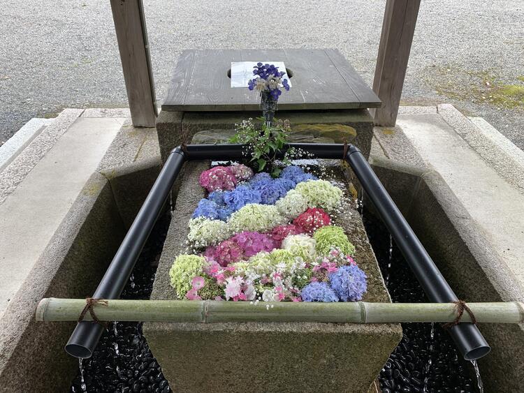 大鳥神社　花手水2