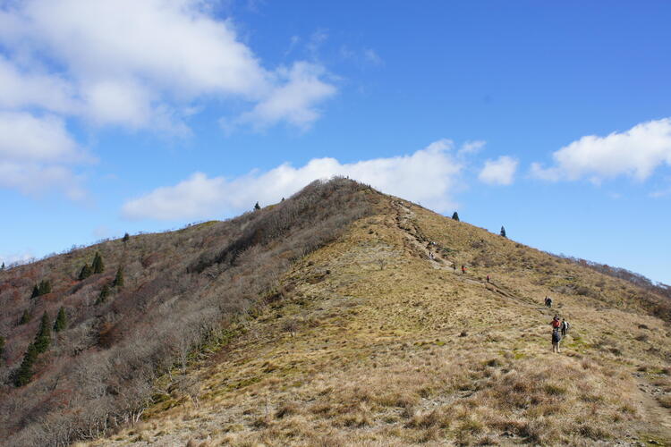 武奈ヶ岳山頂手前.JPG