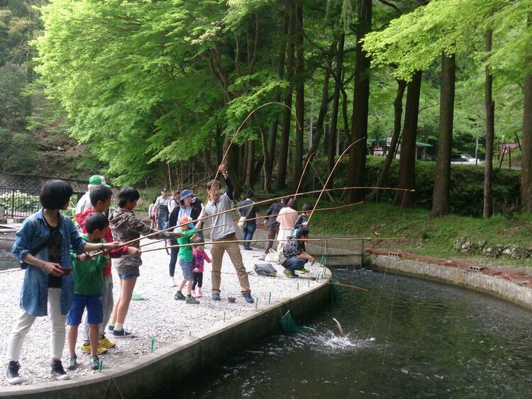 滋賀県醒井養鱒場.jpg