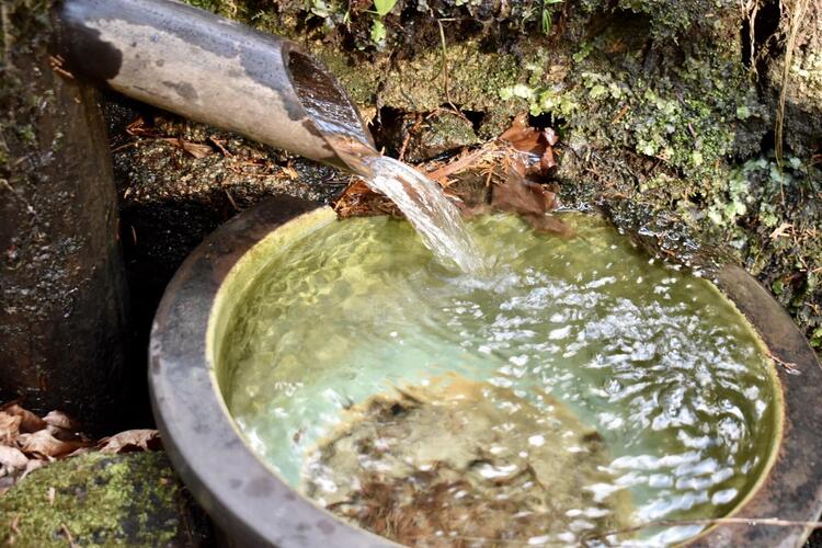 金勝寺お水