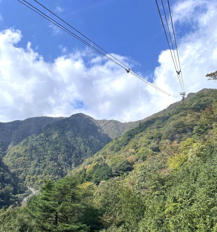 ロープウェイ.jpg