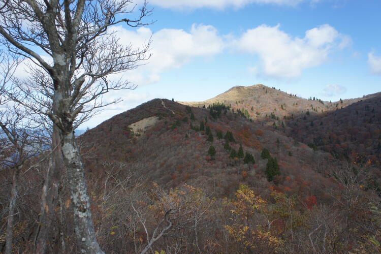 御殿山から武奈ヶ岳山頂.JPG