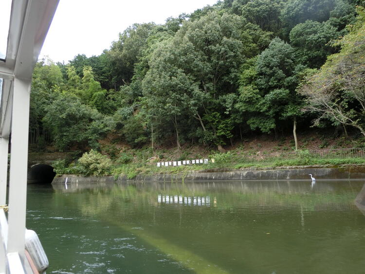 びわ湖疏水船　鷺