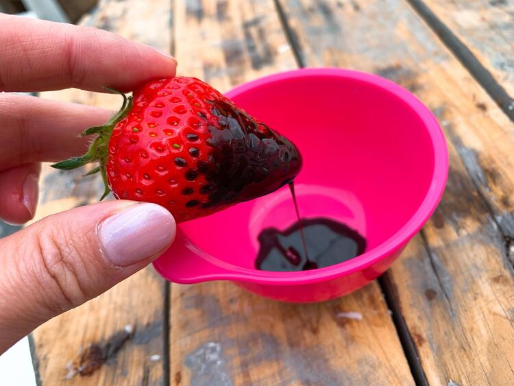 高野いちご園　チョコレートソース