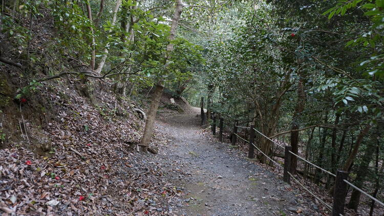 遊歩道