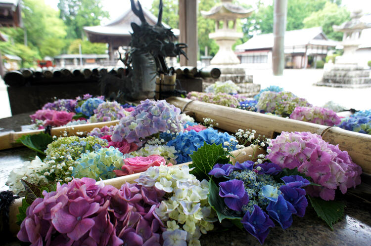 水口神社　花手水1