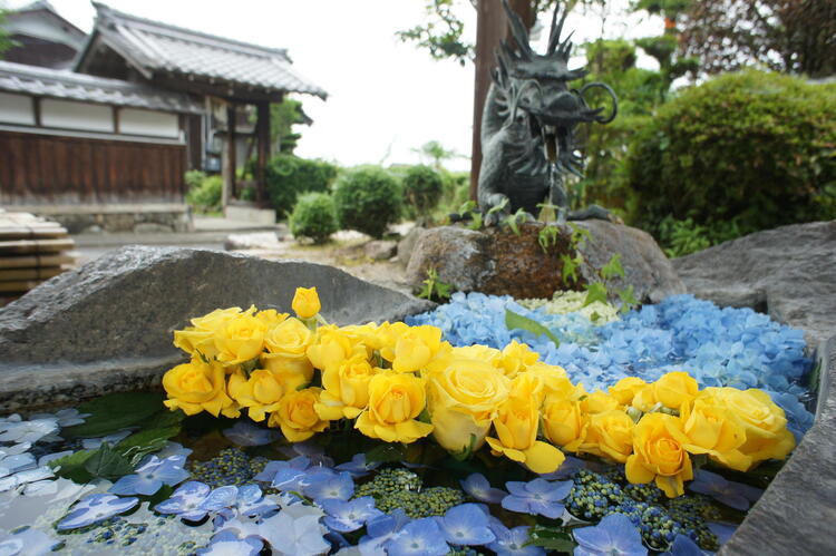 矢川神社　花手水