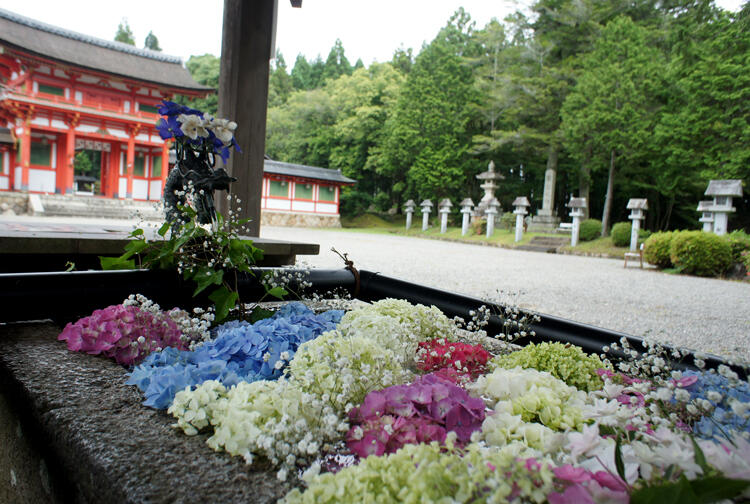 大鳥神社　花手水1