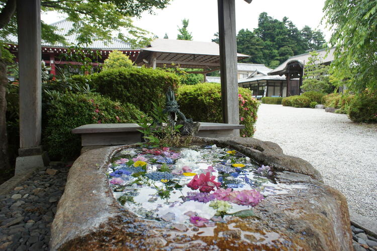 櫟野寺・花手水3