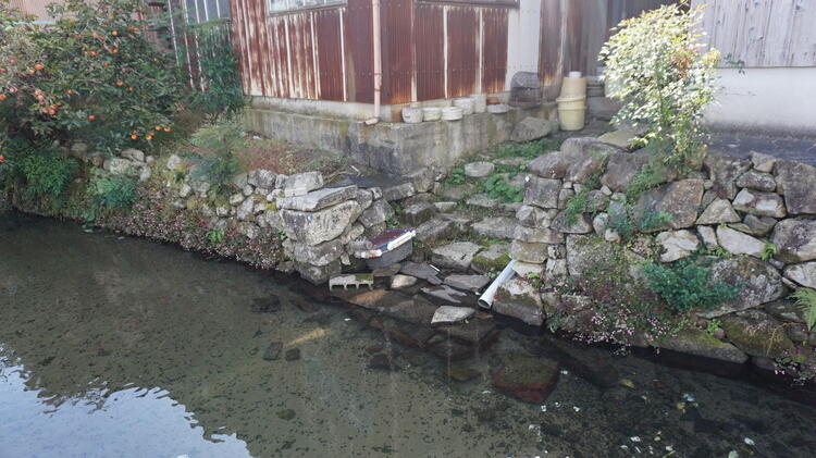 伊庭の水辺景観　カワト