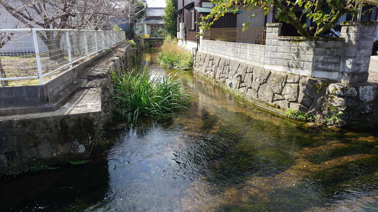 伊庭の水辺景観　水路2