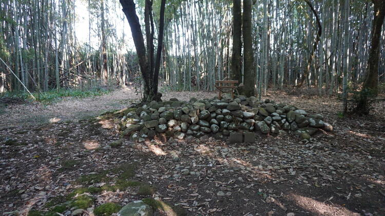 野神さん