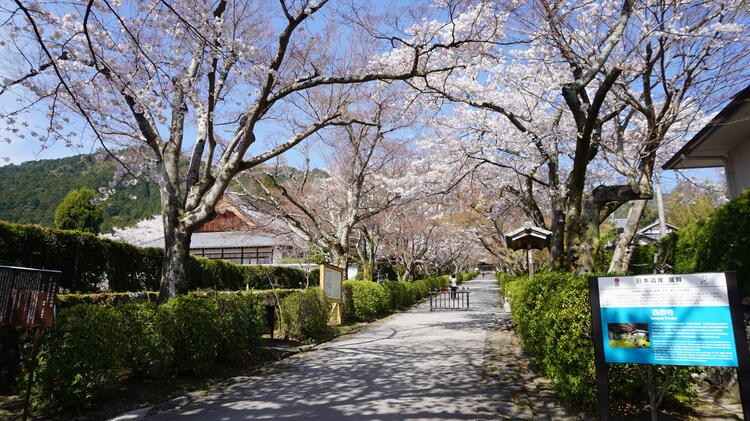 西教寺参道.JPG