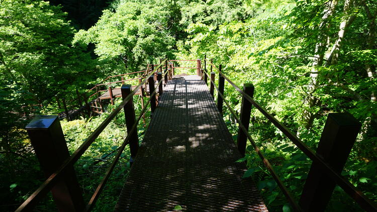 風穴山道階段.JPG