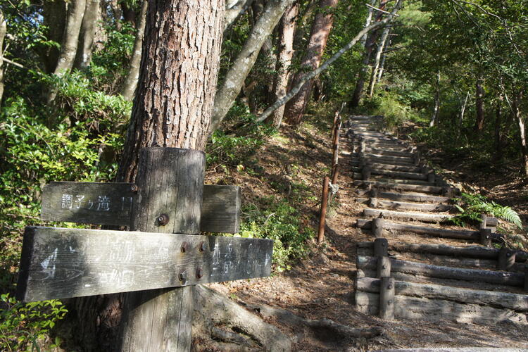 登山口階段.JPG