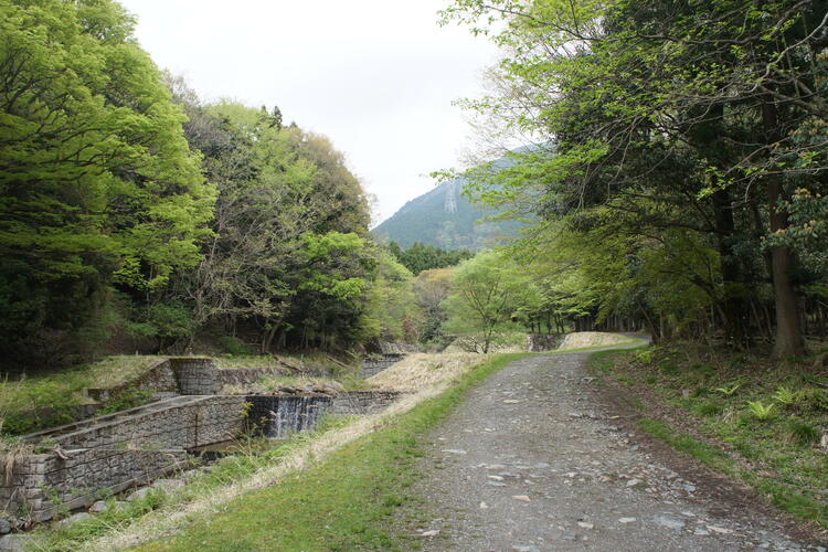 綿向山林道.JPG