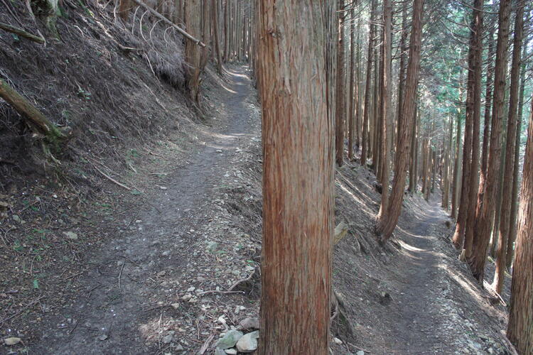 綿向山つづら折り.JPG