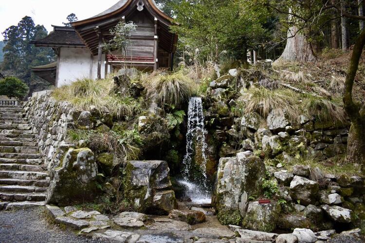 日吉大社境内の水1