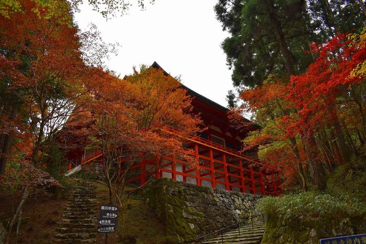 比叡山延暦寺5