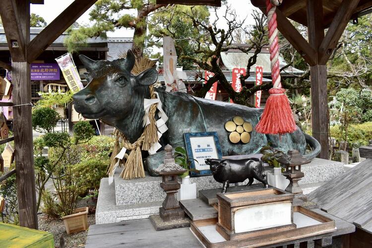 北野神社牛1