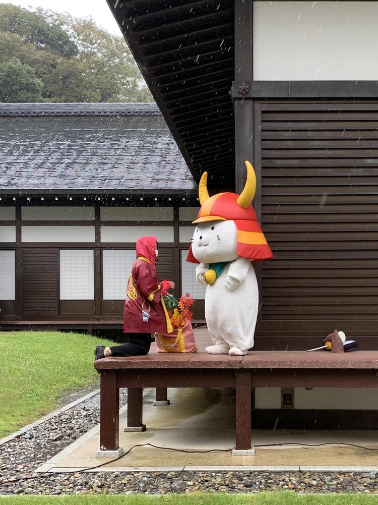 ひこにゃん雨