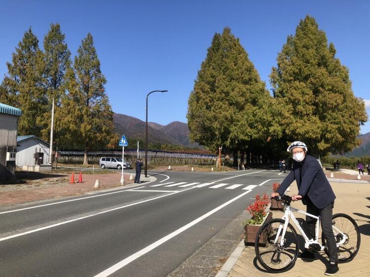 メタセコイアサイクリング3