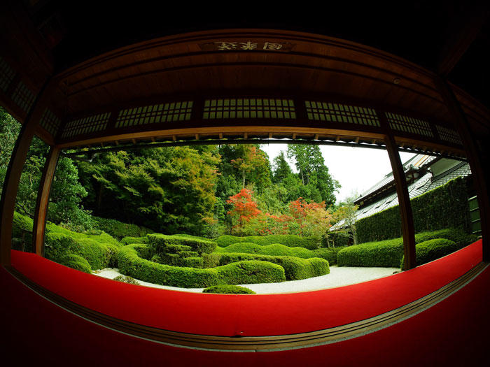 大池寺-秋景色-カメラのレンズ.jpg