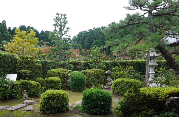 大池寺-秋景色-さつき刈込.jpg