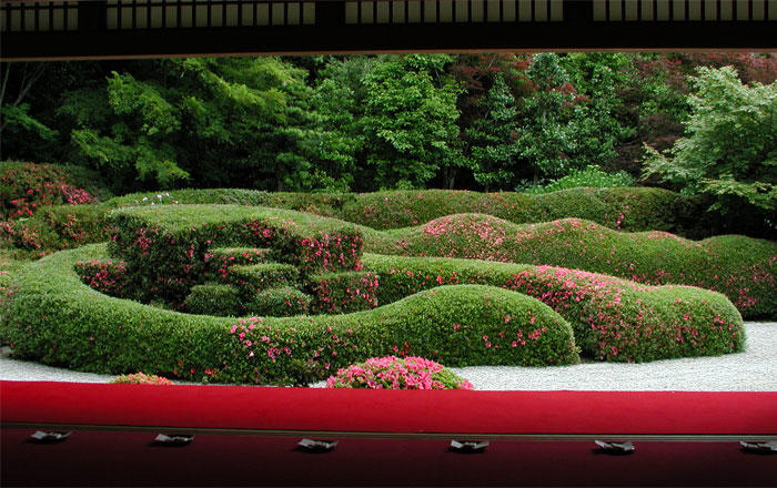 大池寺-春景色-さつき.jpg