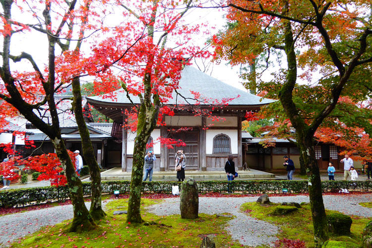 東近江の紅葉（大本山永源寺）.jpg