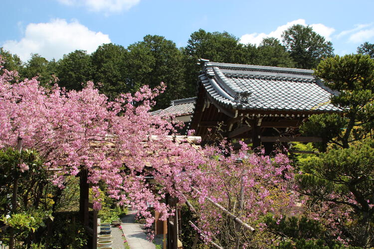 西応寺