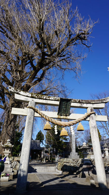 天川命神社.bmp