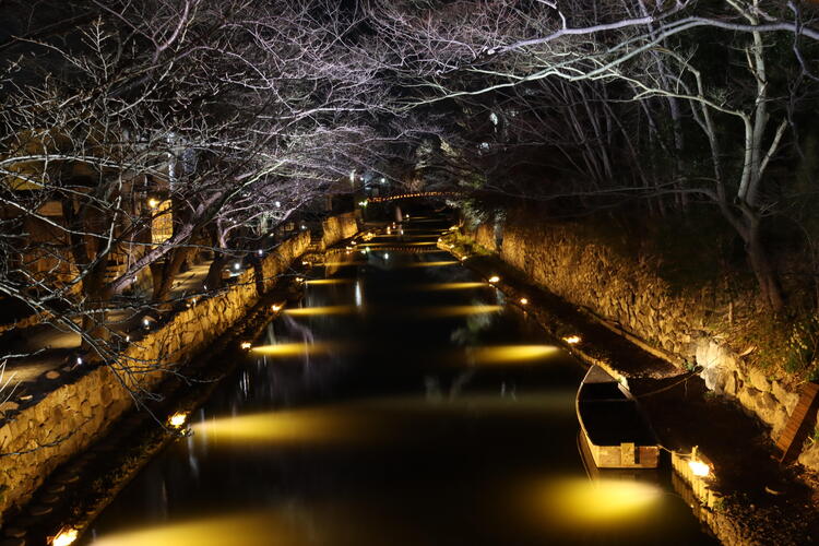 八幡堀ライトアップ