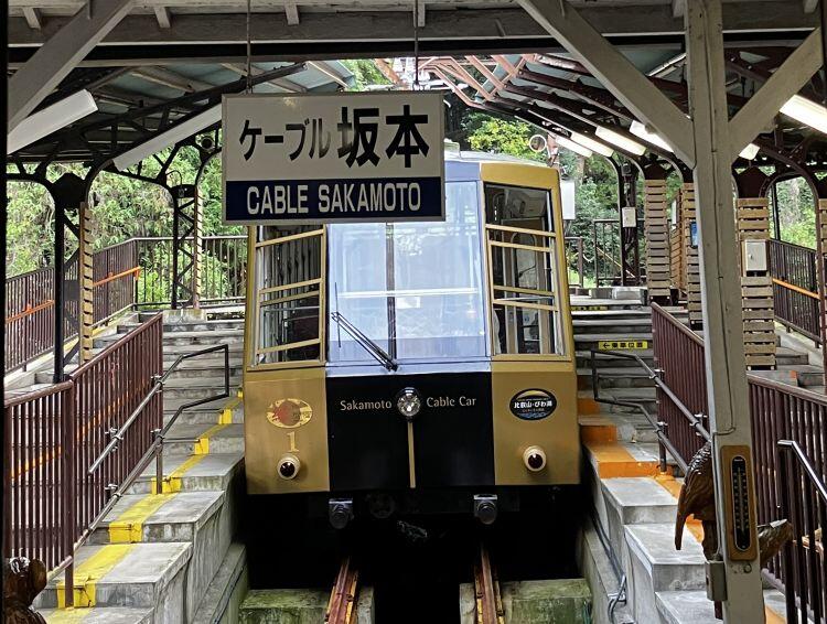 cable-sakamoto2.jpg