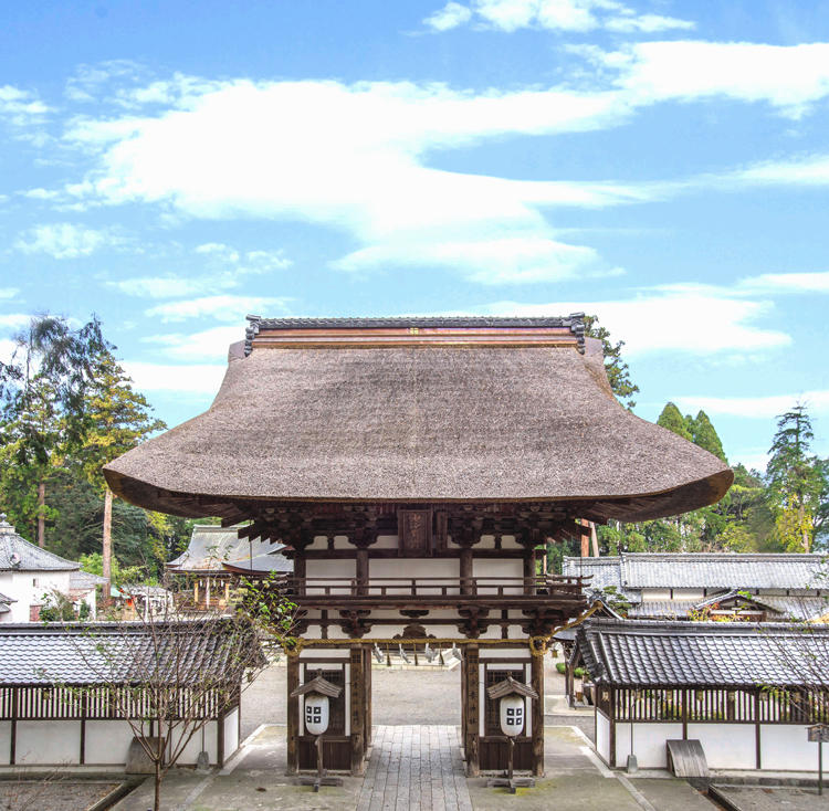 沙沙貴神社-門-画像-明るい調整.jpg