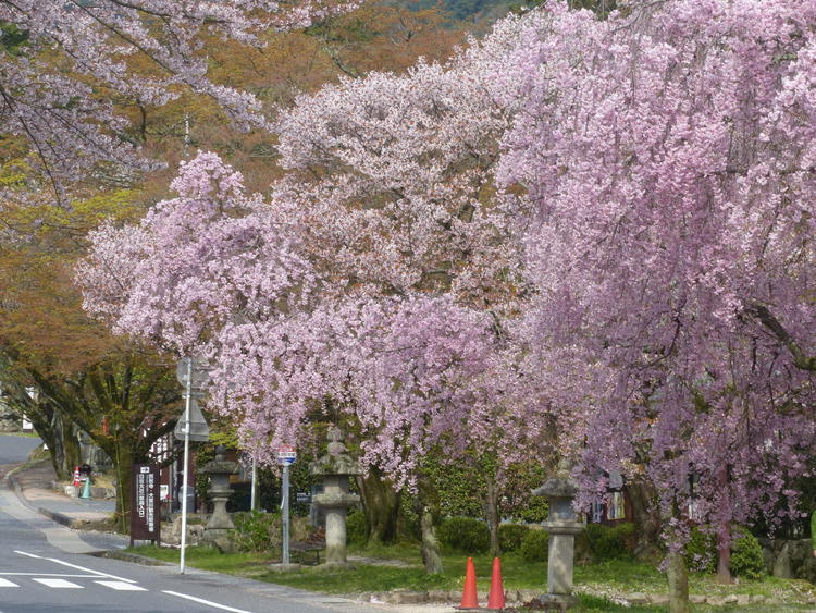 日吉の馬場1.jpg