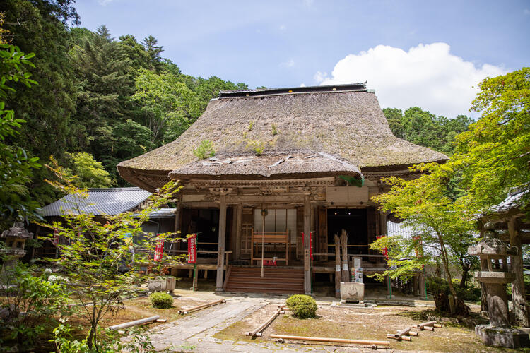 瓦屋禅寺　本堂　青モミジ