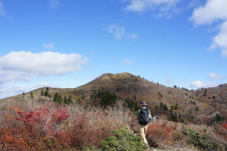 ワサビ峠から武奈ヶ岳山頂.JPG