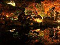 紅葉 彦根城 錦秋の玄宮園ライトアップ チケット付宿泊プラン 朝食付 滋賀県観光情報 公式観光サイト 滋賀 びわ湖のすべてがわかる 紅葉 彦根城 錦秋の玄宮園ライトアップ チケット付宿泊プラン 朝食付 滋賀県観光情報 公式観光サイト 滋賀 びわ湖のすべてがわかる