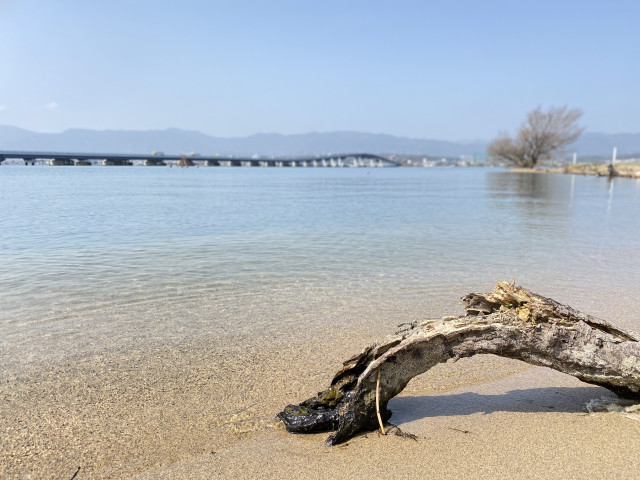 LAKE BIWA TRIATHLON 2025