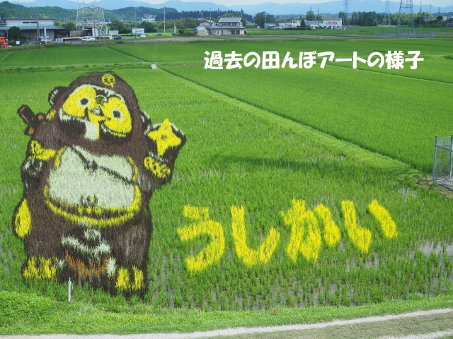 うしかい田んぼアート 滋賀県観光情報 公式観光サイト 滋賀 びわ湖のすべてがわかる