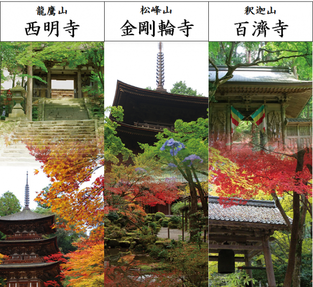 近江湖東の古刹 湖東三山めぐり 滋賀県観光情報 公式観光サイト 滋賀 びわ湖のすべてがわかる