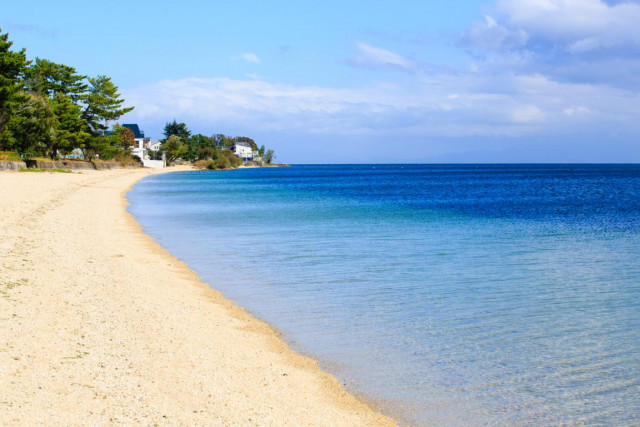 大津志賀花火大会 滋賀県観光情報 公式観光サイト 滋賀 びわ湖のすべてがわかる