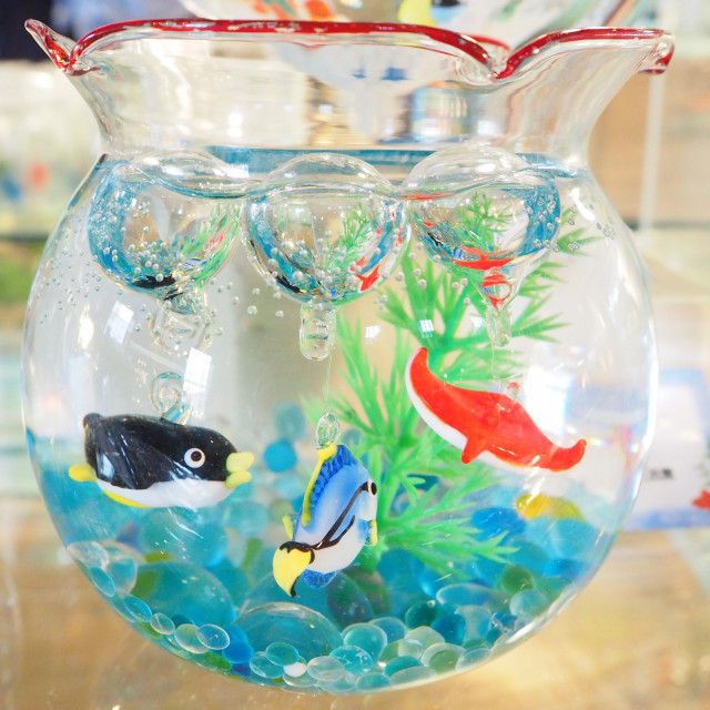 チャレンジ！浮き玉釣り！ | 滋賀県観光情報［公式観光サイト］滋賀