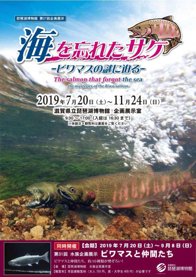 企画展示 海を忘れたサケ ビワマスの謎に迫る 滋賀県観光情報 公式観光サイト 滋賀 びわ湖のすべてがわかる 企画展示 海を忘れたサケ ビワマスの謎に迫る 滋賀県観光情報 公式観光サイト 滋賀 びわ湖のすべてがわかる