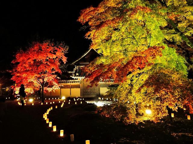 大本山永源寺のライトアップ 滋賀県観光情報 公式観光サイト 滋賀 びわ湖のすべてがわかる