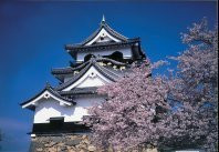 彦根城桜まつり 滋賀県観光情報 公式観光サイト 滋賀 びわ湖のすべてがわかる 彦根城桜まつり 滋賀県観光情報 公式観光サイト 滋賀 びわ湖のすべてがわかる