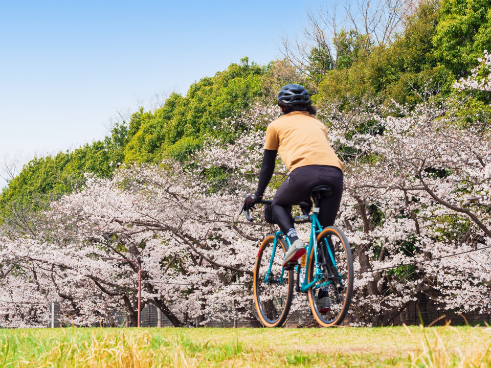 関西のサイクリングツアーおすすめ7選|琵琶湖や淡路島、嵐山を自転車で走ってみませんか?