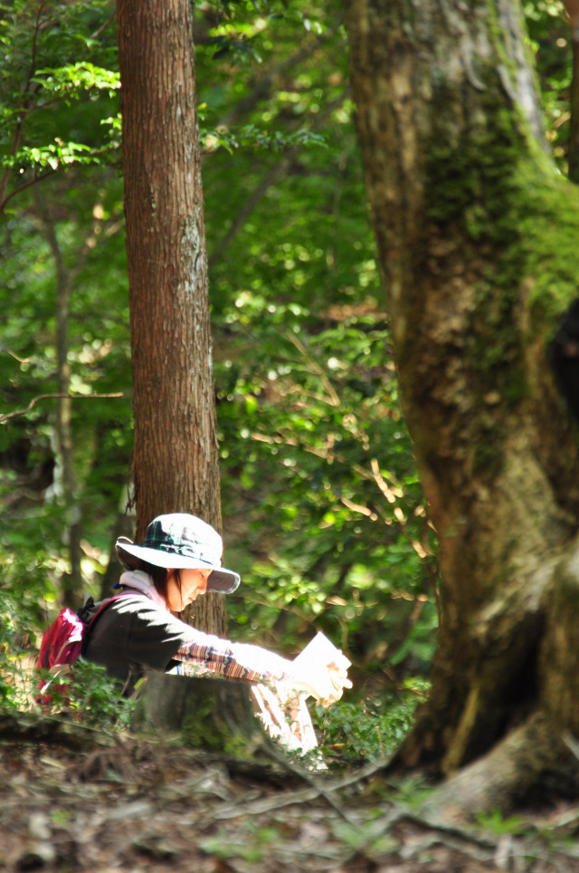 くつきの森で林業体験 体験学習 教育旅行 滋賀県観光情報 観光関連事業者様 くつきの森で林業体験 体験学習 教育旅行 滋賀県観光情報 観光関連事業者様