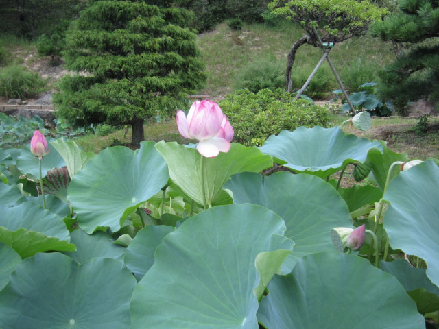 万葉の森 船岡山 滋賀県観光情報 公式観光サイト 滋賀 びわ湖のすべてがわかる 万葉の森 船岡山 滋賀県観光情報 公式観光サイト 滋賀 びわ湖のすべてがわかる